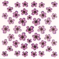 DRIED FLOWERS 3D NAIL STICKERS SKU3DDF04