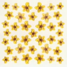 DRIED FLOWERS 3D NAIL STICKERS SKU3DDF01