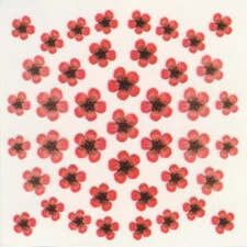 DRIED FLOWERS 3D NAIL STICKERS SKU3DDF03