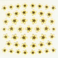 DRIED FLOWERS 3D NAIL STICKERS SKU3DDF06