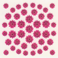DRIED FLOWERS 3D NAIL STICKERS SKU3DDF12