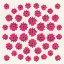 DRIED FLOWERS 3D NAIL STICKERS SKU3DDF12