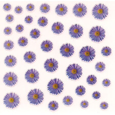 DRIED FLOWERS 3D NAIL STICKERS SKU3DDF18