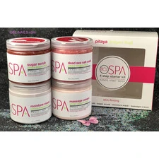BCL SPA PITAYA DRAGON FRUIT STARTER 4-PIECE KIT ORGANIC