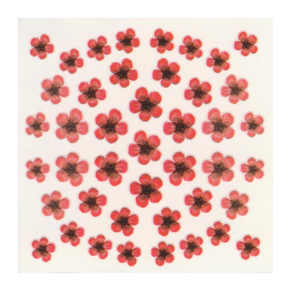 DRIED FLOWERS 3D NAIL STICKERS SKU3DDF03